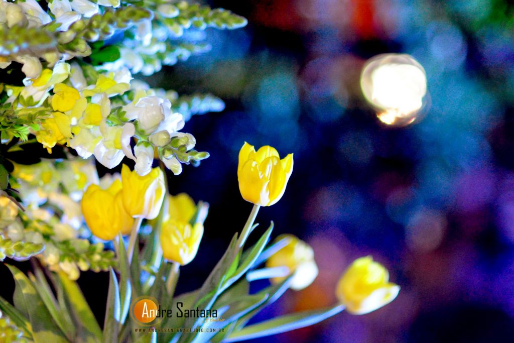 Giselle & Demétrio (267)