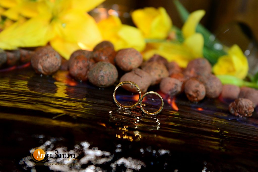 Giselle & Demétrio (389)