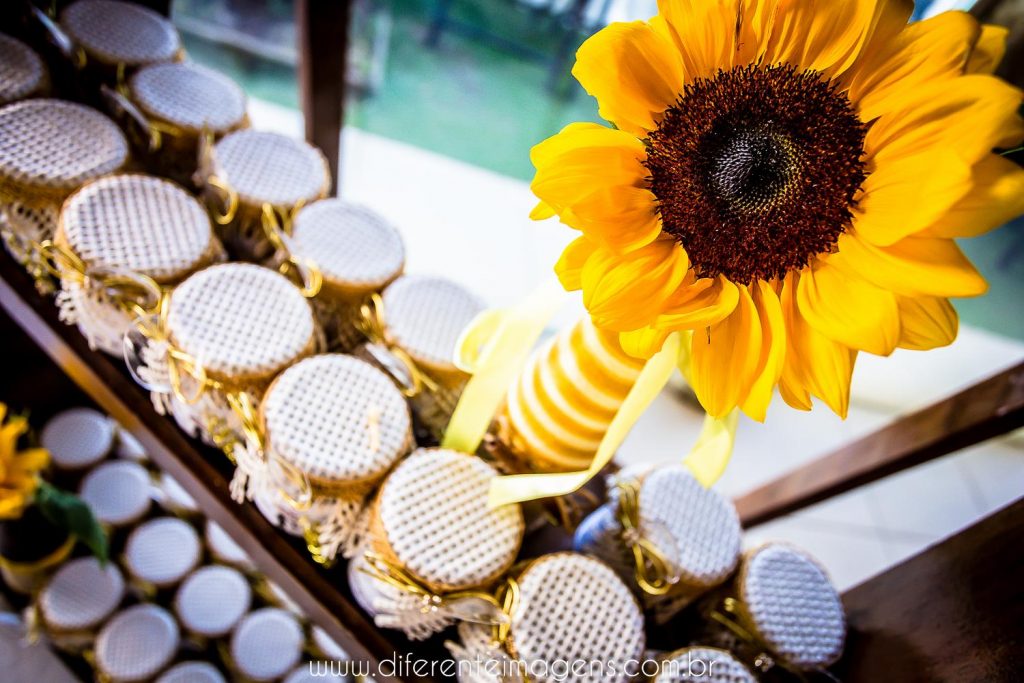 15271685_1470500149631086_858714922_o