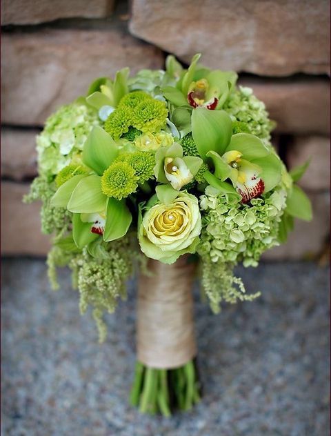 816d5ff2cbfacb524ca89a29becbf6e1