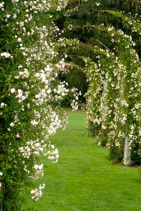 97e4a1d0b5cdf6b72976f3f7395fabea