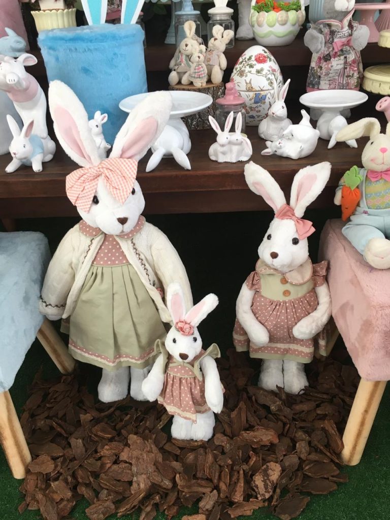 WhatsApp Image 2019-03-12 at 18.45.56 (1)